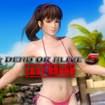 Ultimate Sexy Hitomi
