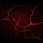 AVICII Invector Magma Track Pack