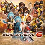 DOA6 Morphing Ninja Costume Set