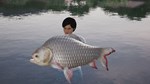 Fishing Sim World Pro Tour  Giant Carp Pack