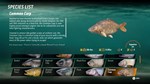 The Catch Carp  Coarse Fishing