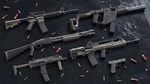 Insurgency Sandstorm  TwoTone Weapon Skin Set