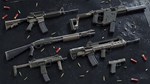 Insurgency Sandstorm  TwoTone Weapon Skin Set