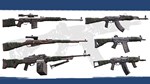 Insurgency Sandstorm  Rust  Wrap Weapon Skin Set