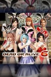 Revival DOA6 Sexy Bunny Costume Set