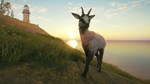 theHunter Call of the Wild  Te Awaroa National Park