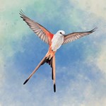 WINGSPAN