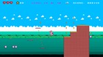 The Rabbit Crazy Adventure