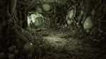 Pathogen Expansion