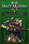 Warhammer 40,000 Space Marine 2 Salamanders Champion
