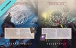 Divinity: Original Sin 2 - Divine Ascension - DLC STEAM