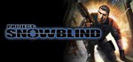 Project: Snowblind - STEAM GIFT РОССИЯ