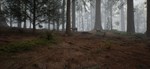 Native Hunter - STEAM GIFT РОССИЯ