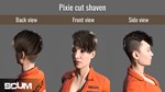 SCUM Female Hair Pack 1 DLC - STEAM GIFT РОССИЯ