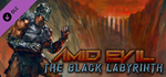 AMID EVIL - The Black Labyrinth DLC - STEAM RU