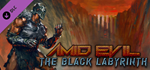 AMID EVIL - The Black Labyrinth DLC - STEAM RU - irongamers.ru