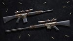 Insurgency: Sandstorm - Woodland Weapon Skin Set DLC