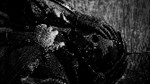 The Last Explorer - STEAM GIFT РОССИЯ
