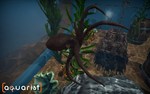 Aquarist - STEAM GIFT РОССИЯ