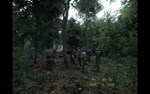 SILENT BREATH - STEAM GIFT РОССИЯ