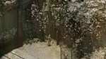 Rauniot - STEAM GIFT РОССИЯ