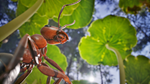 Empire of the Ants - STEAM GIFT РОССИЯ