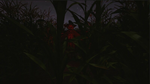 Corn Field - STEAM GIFT РОССИЯ