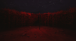Corn Field - STEAM GIFT РОССИЯ