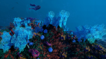 Ecosystem - STEAM GIFT РОССИЯ
