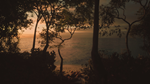 Lushfoil Photography Sim - STEAM GIFT РОССИЯ
