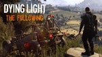 🧟‍♂️ Dying Light: The Following 🔑 Steam Key