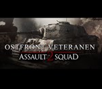 * Men of War: Assault Squad 2 - Ostfront Veteranen