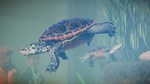 * Planet Zoo - Aquatic Pack * Steam DLC * Весь мир