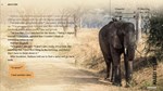 * Wanderlust Travel Stories * GOG Ключ * Весь мир