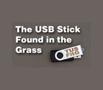 * The USB Stick Found in the Grass * Steam Ключ