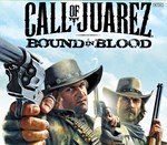 * Call of Juarez: Bound in Blood  * Steam Ключ