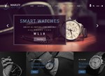 TOP 5 Premium Templates for Shopify 2019