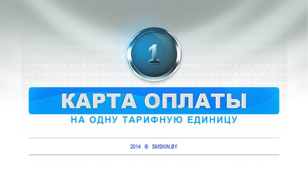 SMSkin.eu карта оплаты 1 т.е.