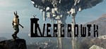Overgrowth - новый аккаунт + гарантия (Region Free)