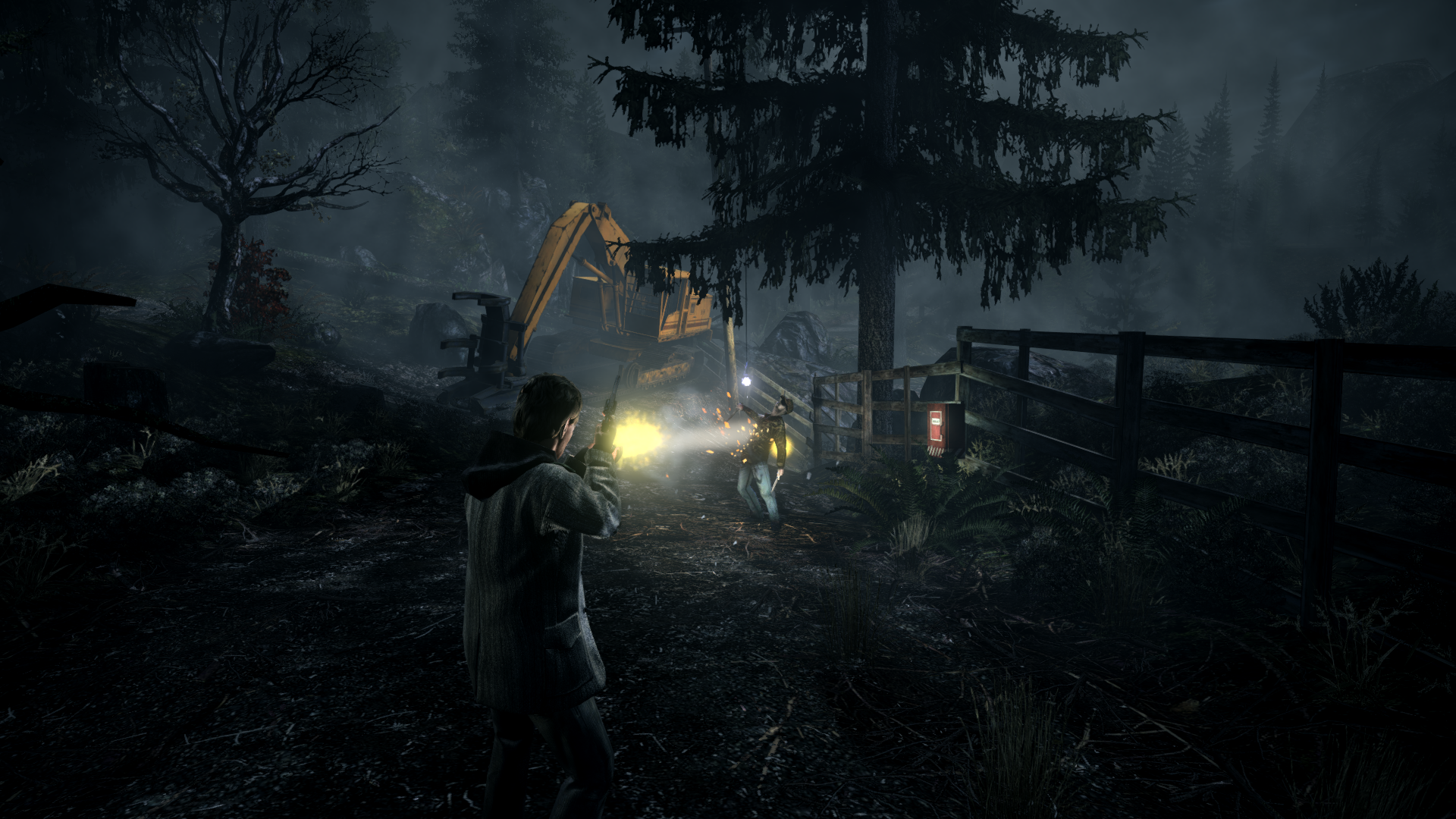 Alon wake. Alan Wake 2010.