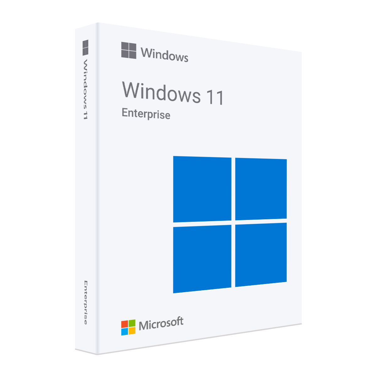 Windows 11 Enterprise (Корпоративная)