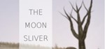 The Moon Sliver STEAM KEY REGION FREE GLOBAL ROW + *