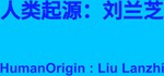 HumanOrigin : Liu Lanzhi STEAM KEY REGION FREE GLOBAL