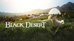✅ Black Desert Online Kuku Pet GLOBAL KEY