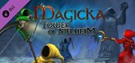 Magicka Tower of Niflheim DLC STEAM KEY REGION GLOBAL