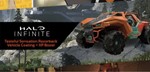Halo Infinite - Tasteful Sensation Vehicle Coating +*