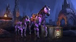 * The Elder Scrolls Online Noweyr Pack Xbox КОД GLOBAL