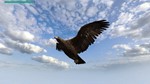 Eagle Hunting Journey STEAM KEY REGION FREE GLOBAL ROW