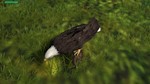 Eagle Hunting Journey STEAM KEY REGION FREE GLOBAL ROW