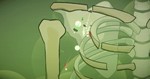 Island Bender STEAM KEY REGION FREE GLOBAL ROW